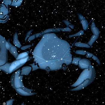 An image of the Cancer constellation with drawing of a crab overlayed transparently so you can still see underlying stars